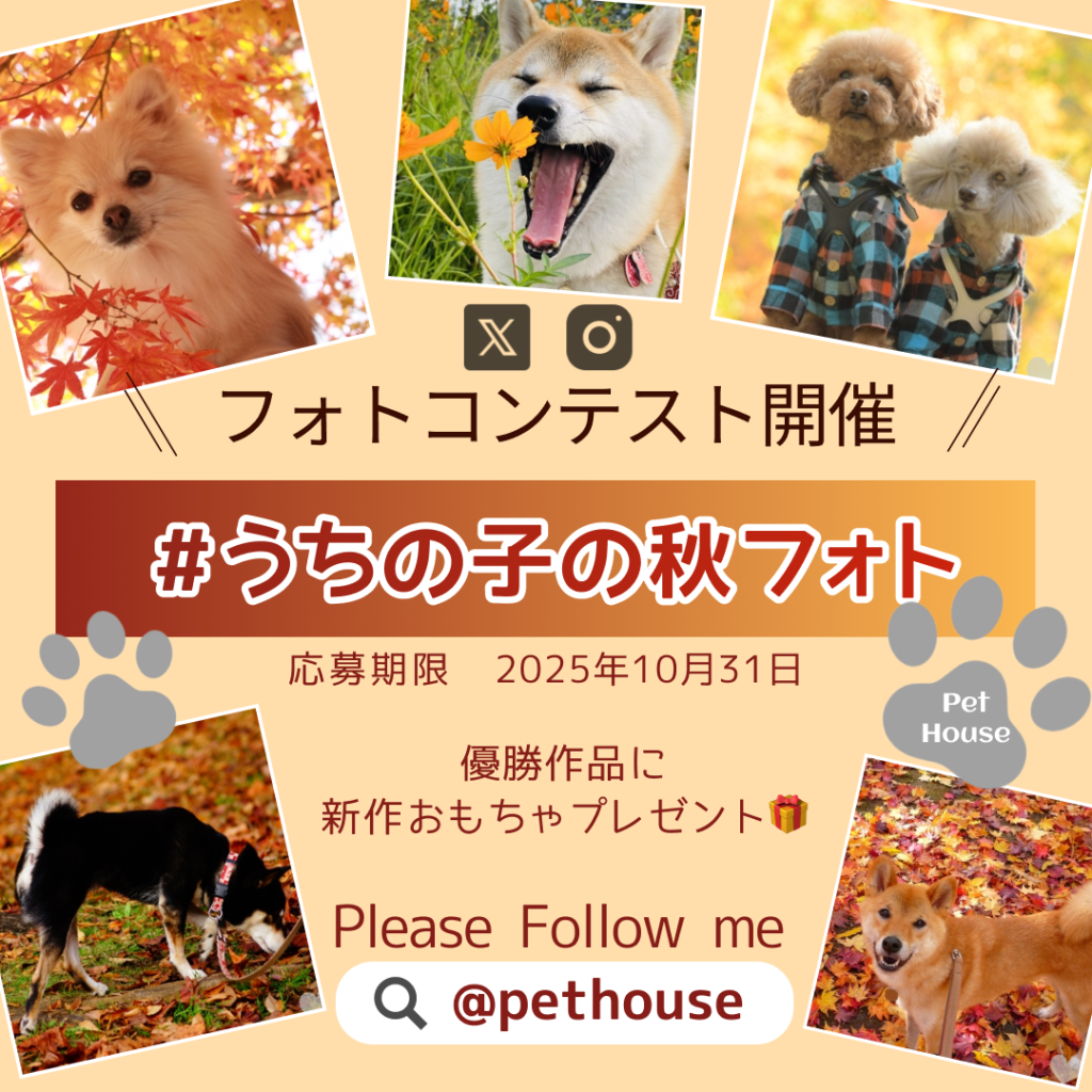 SNS投稿画像